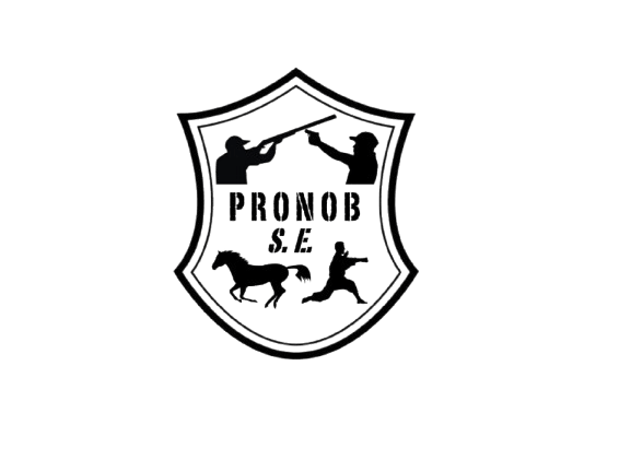 Pronob SE Logo